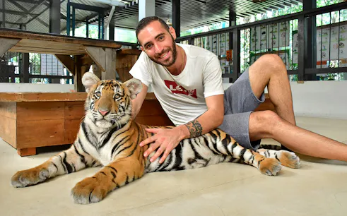 Non-Thai tourist sitting with a tiger at Tiger Park Pattaya.