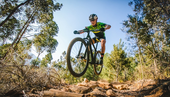 Cyclists navigating forest trails