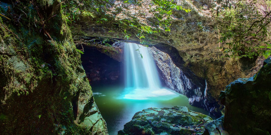 Springbrook National Park