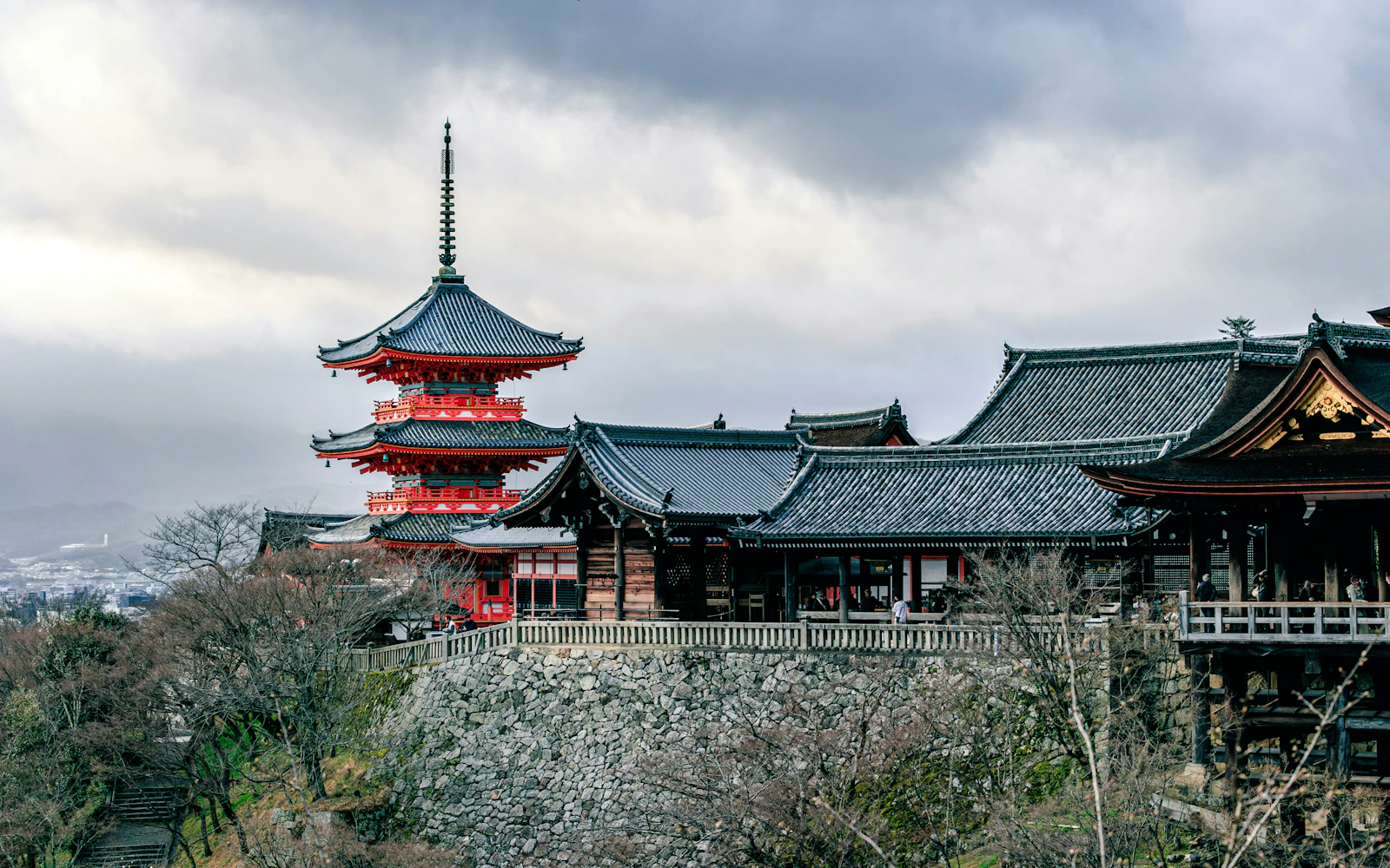 From Nagoya: Kyoto and Nara One-Way Guided Day Tour with Osaka Drop-Off