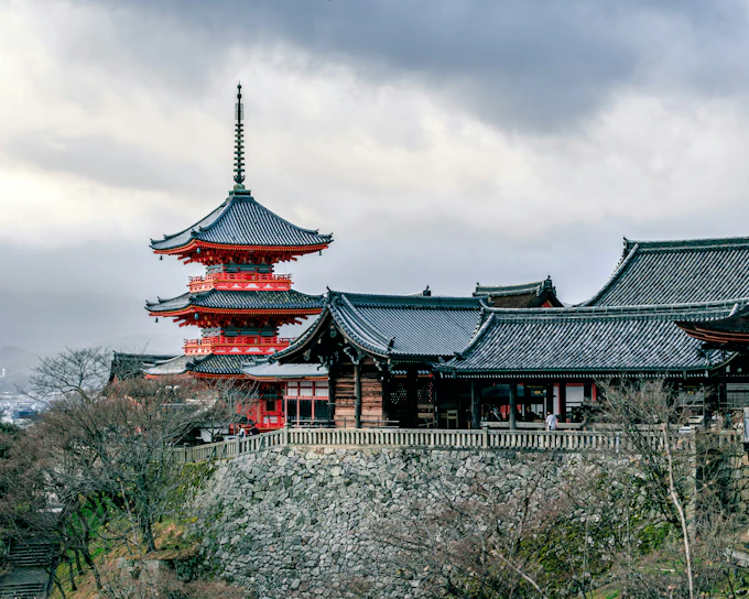 From Nagoya: Kyoto and Nara One-Way Guided Day Tour with Osaka Drop-Off