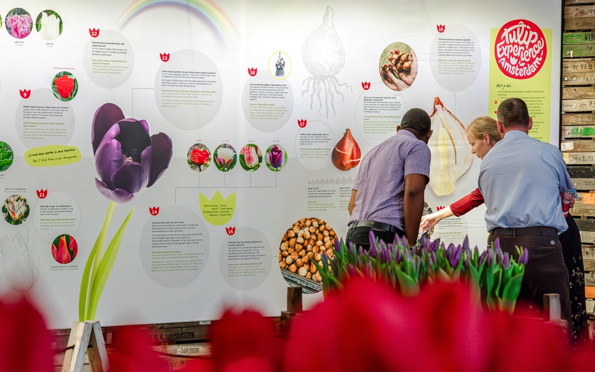 Guests learning about tulip cultivation at the Tulip Experience Amsterdam museum exhibit.