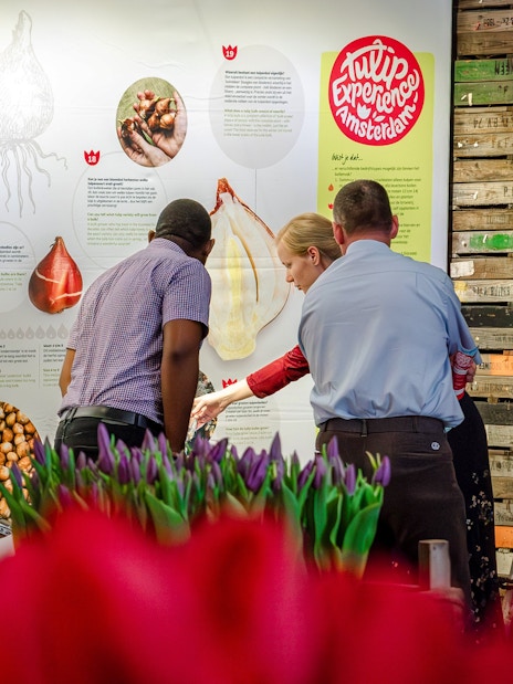 Guests learning about tulip cultivation at the Tulip Experience Amsterdam museum exhibit.