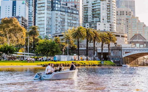 Self-drive boat on Yarra River with cityscape and palm trees in Melbourne.