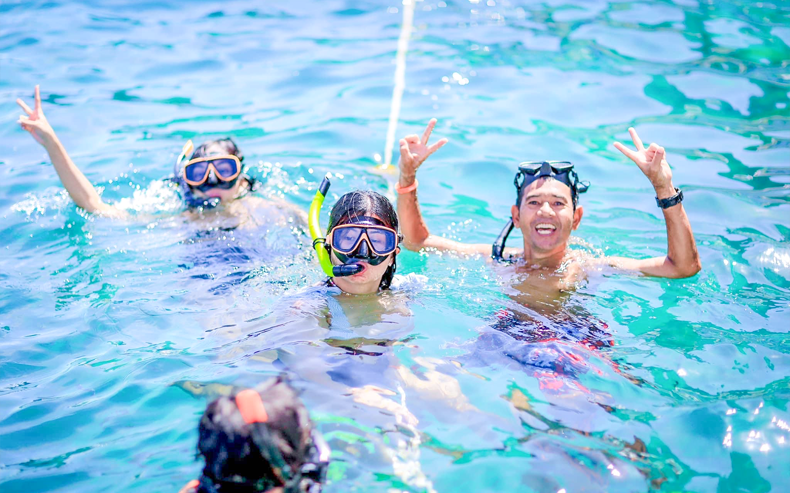 Tourists with all safety gears like mask, jackets, goggles, etc snorkeling with grey reef sharks in Phi Phi Island