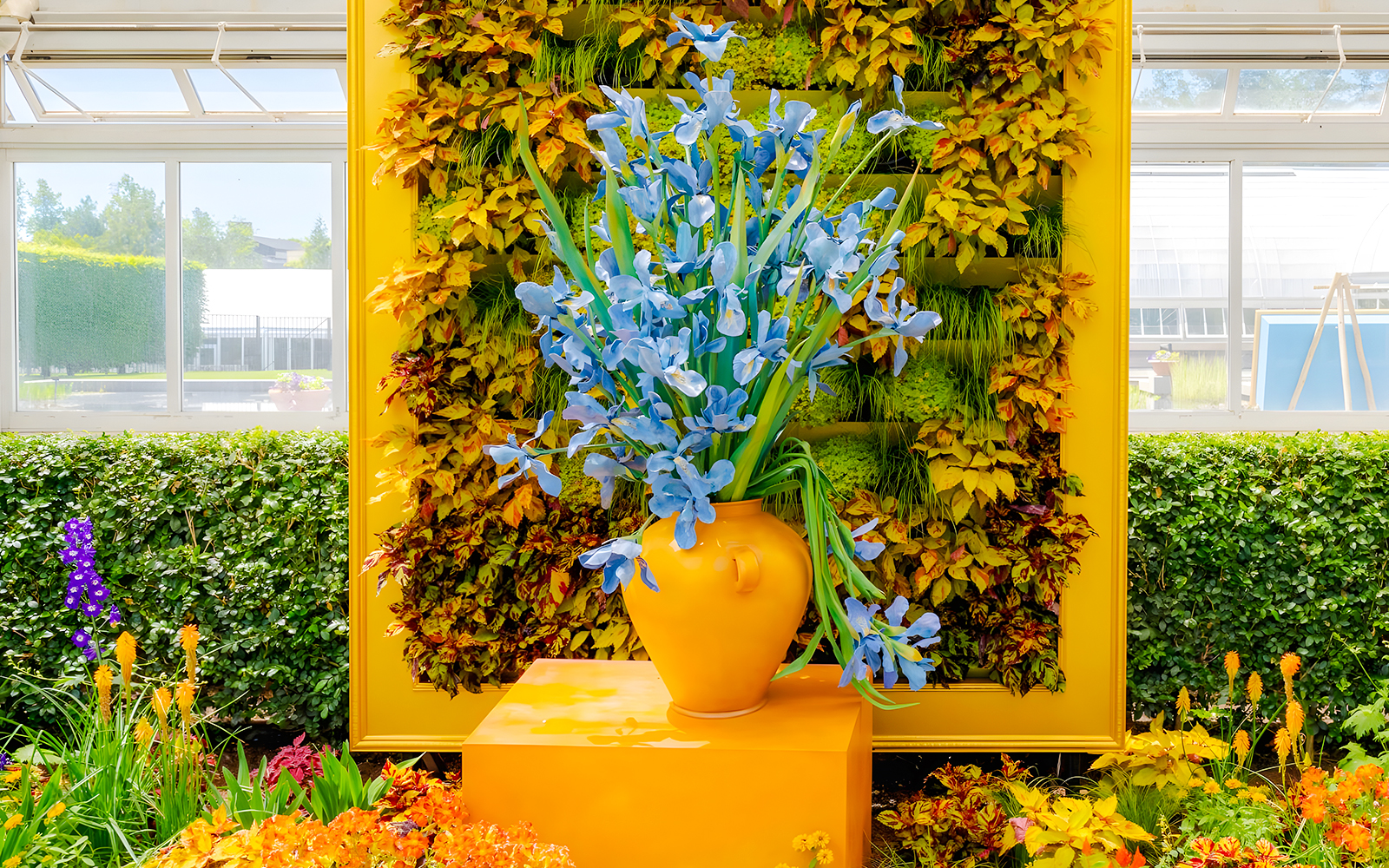 Blue irises in a yellow vase at Van Gogh’s Flowers exhibit, New York Botanical Garden.