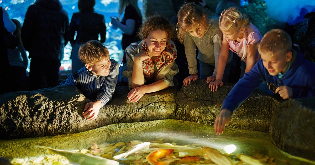 Visitors interacting with marine life at touch pool in Aquarium de Paris.