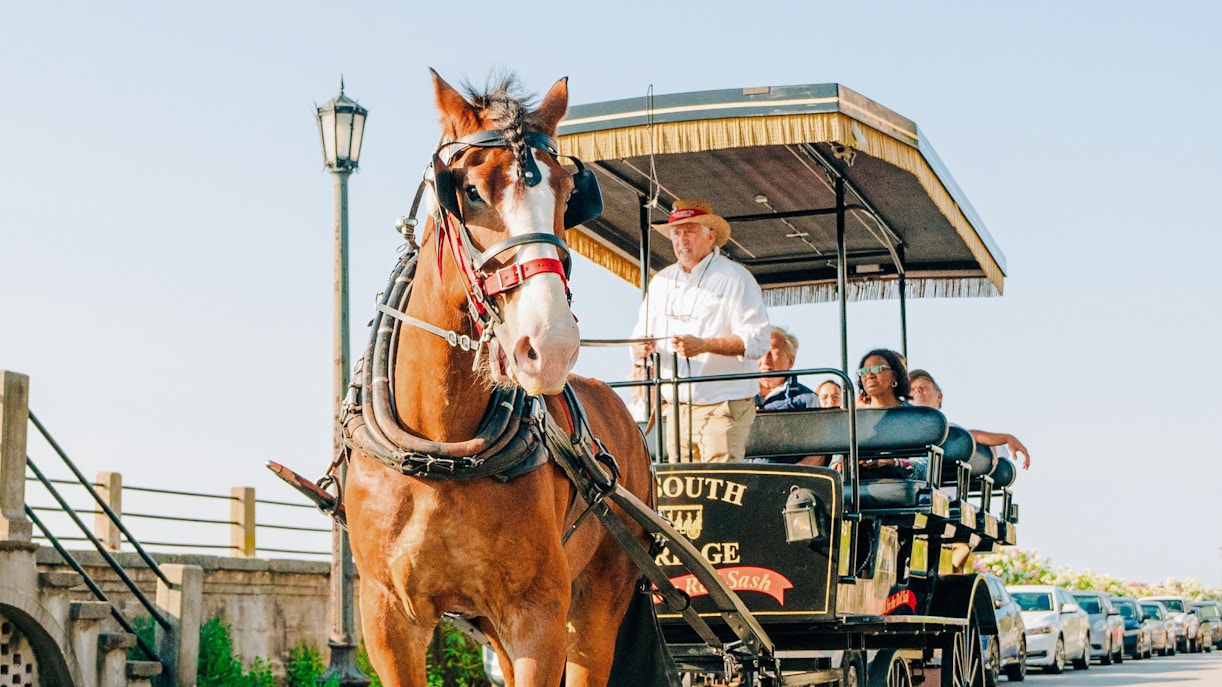 Charleston horse-drawn carriage tour with passengers and guide on a sunny street.