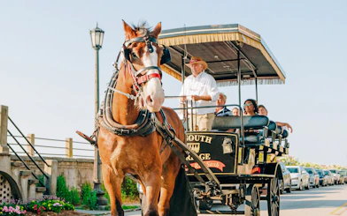 Charleston horse-drawn carriage tour with passengers and guide on a sunny street.
