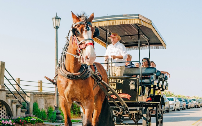 Charleston horse-drawn carriage tour with passengers and guide on a sunny street.