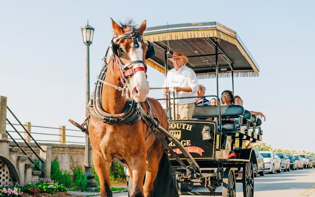 Charleston horse-drawn carriage tour with passengers and guide on a sunny street.