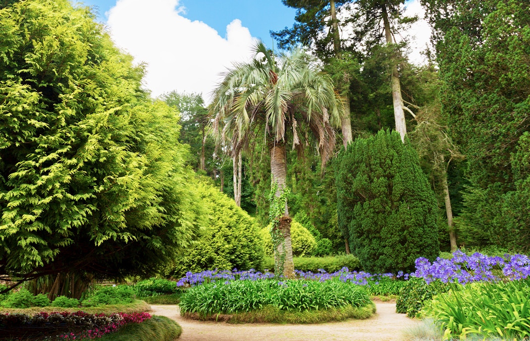 Palace's Surrounding Gardens and Landscapes