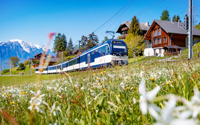 Train traveling through Swiss countryside with mountains and chalets in view.