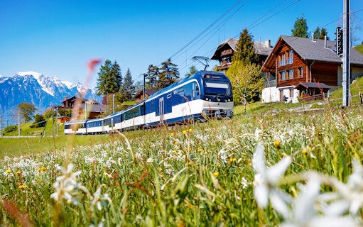 Train traveling through Swiss countryside with mountains and chalets in view.