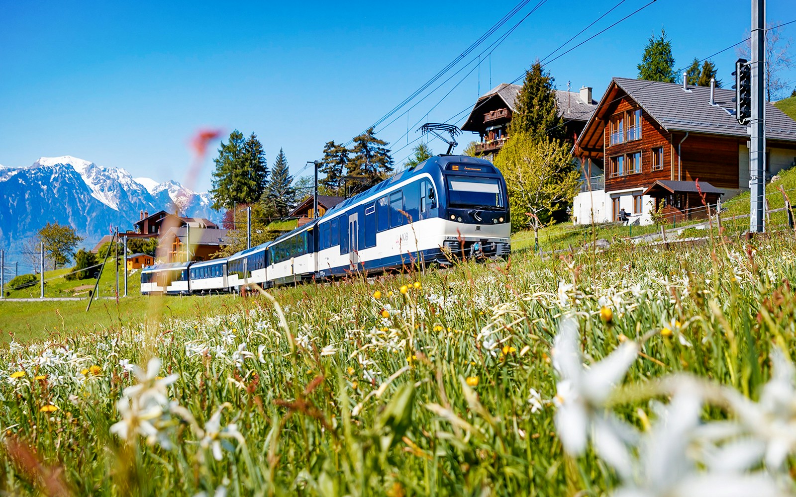 Train traveling through Swiss countryside with mountains and chalets in view.