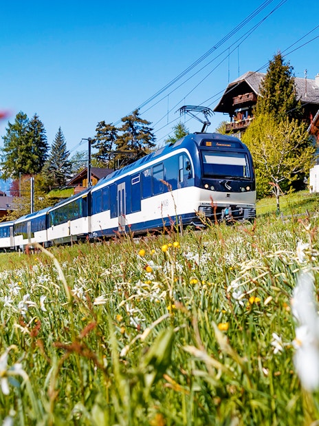 Train traveling through Swiss countryside with mountains and chalets in view.