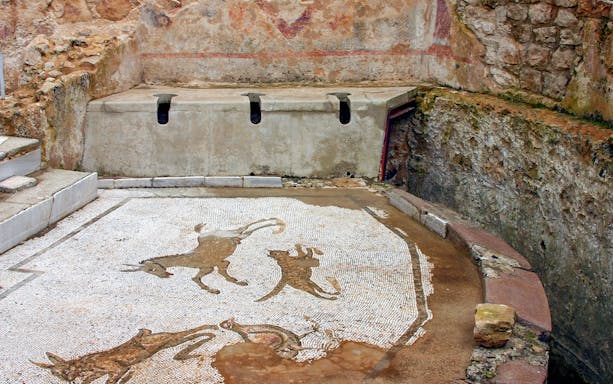 Mosaic floor with animal designs at Villa Romana del Casale, Sicily.