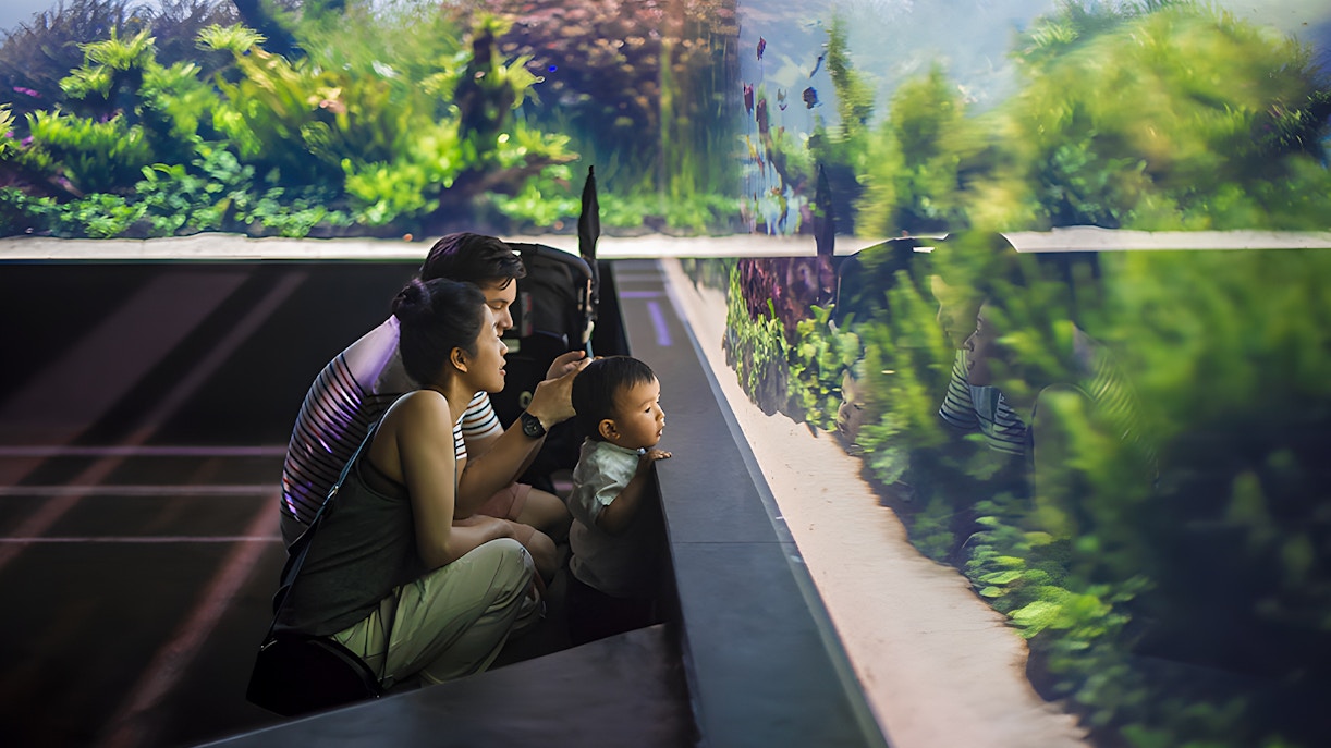 Family observing underwater forest exhibit at Lisbon Oceanarium.