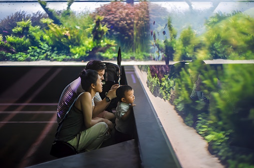 Oceanário de Lisboa Tickets