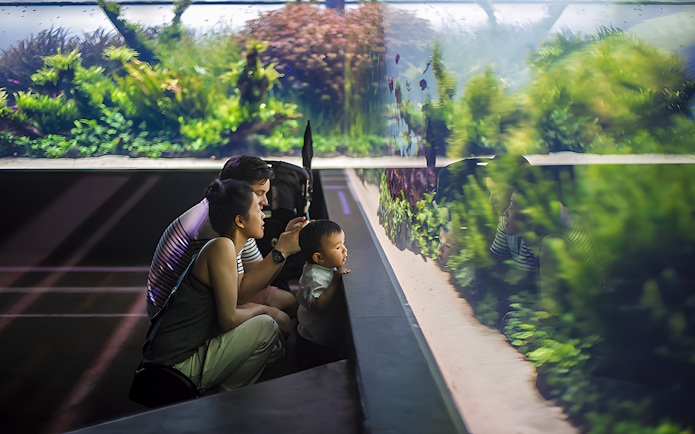 Family observing underwater forest exhibit at Lisbon Oceanarium.
