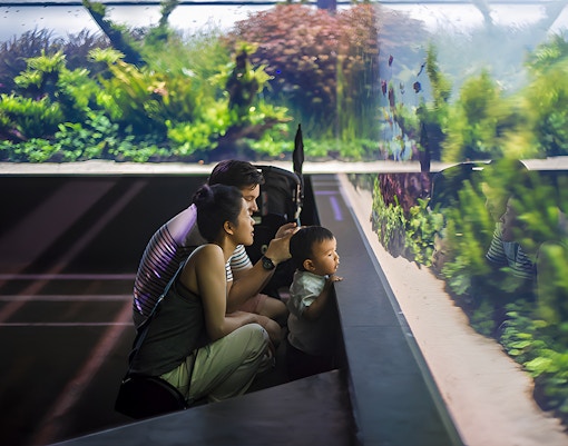 Family observing underwater forest exhibit at Lisbon Oceanarium.