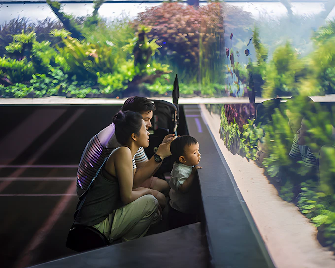 Oceanário de Lisboa Tickets
