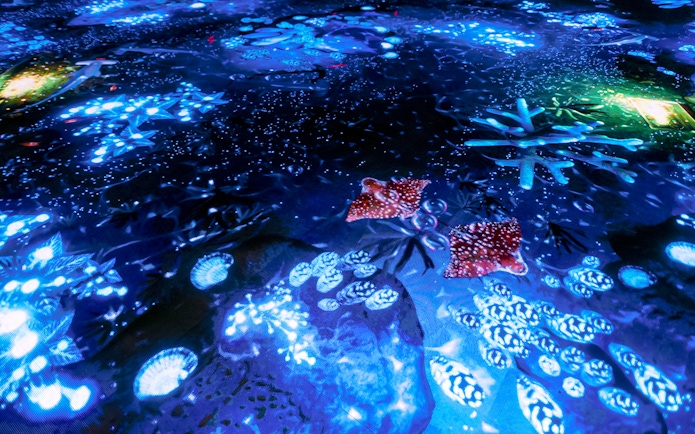 Interactive light display at Bubble Planet, Washington DC, featuring glowing blue and red patterns.