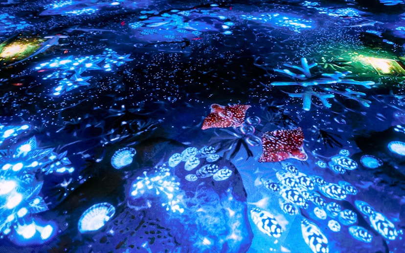 Interactive light display at Bubble Planet, Washington DC, featuring glowing blue and red patterns.