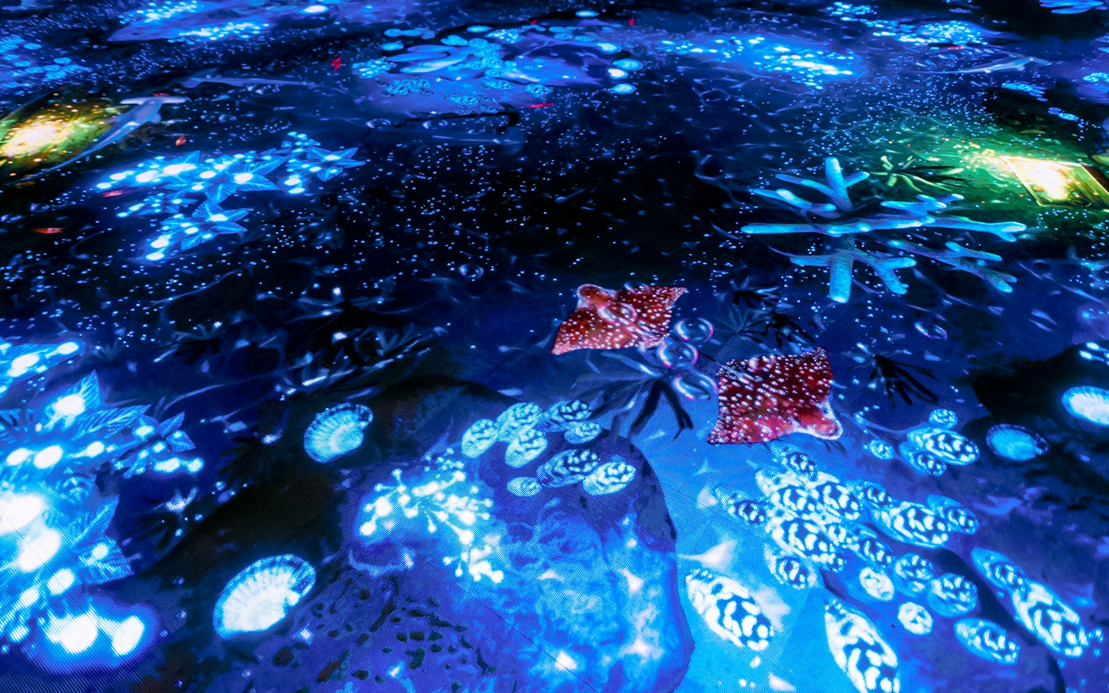 Interactive light display at Bubble Planet, Washington DC, featuring glowing blue and red patterns.