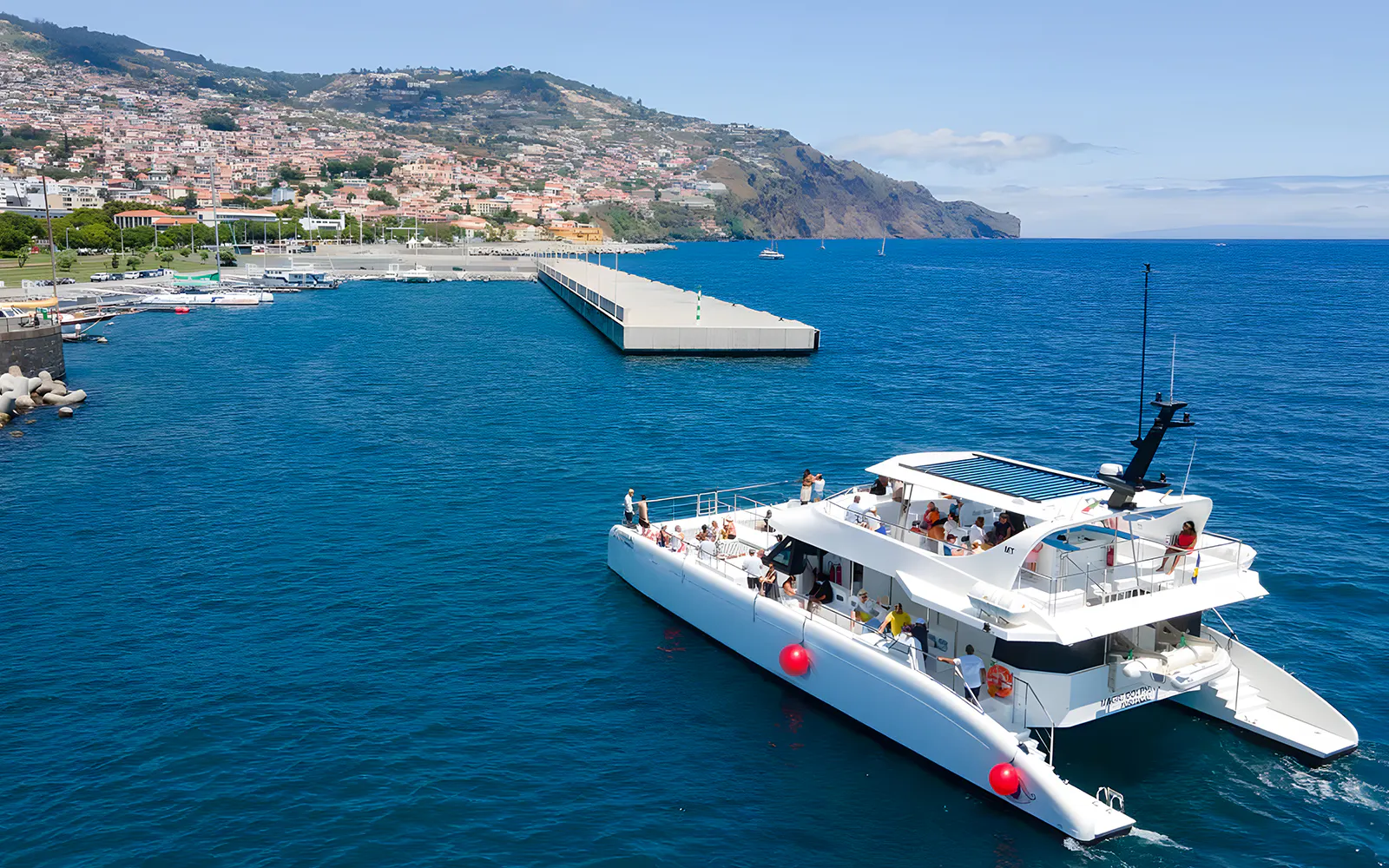 Catamaran sailing near Funchal coast for dolphin and whale watching tour.