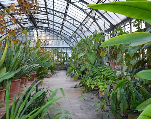 Dresden Botanical Garden
