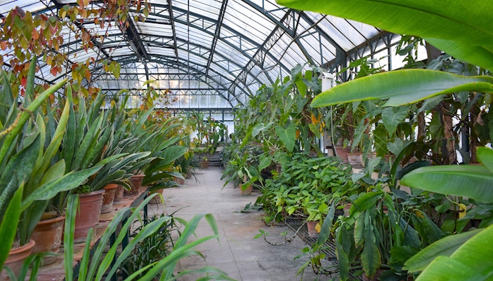 Orto botanico di Palermo
