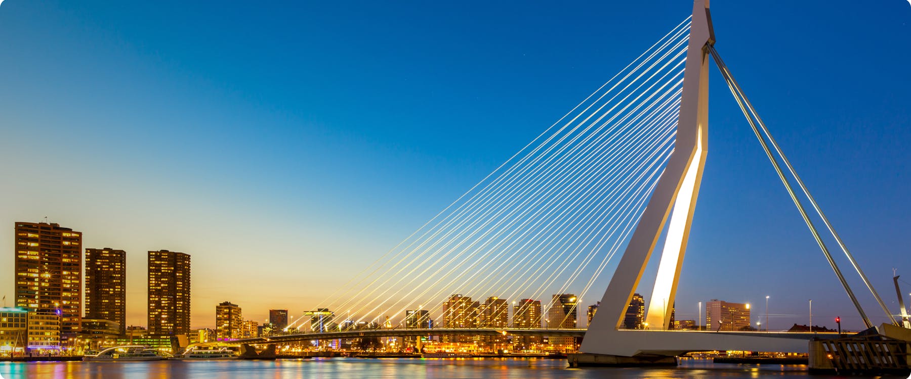 Erasmus Bridge illuminated at dusk in Rotterdam, Netherlands.