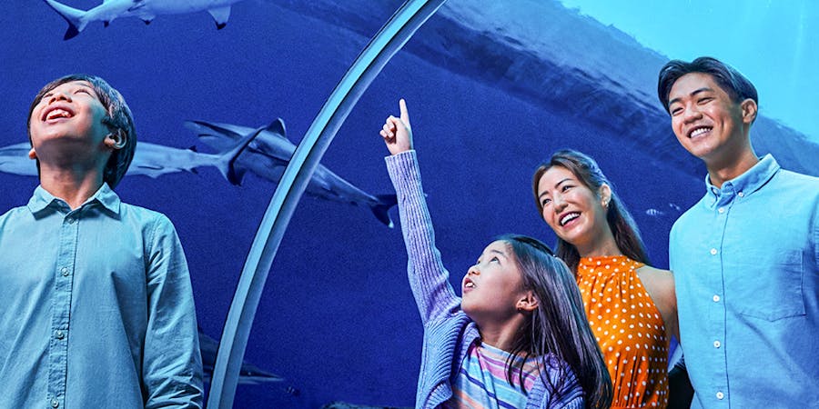 Singapore in October - aj hackett