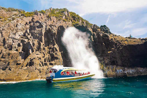 From Hobart: Bruny Island Full-Day Bus Tour with Eco Wilderness Cruise
