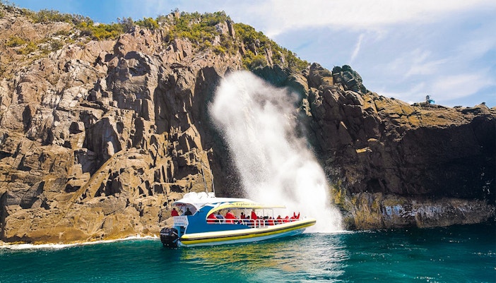 Bruny Island Wilderness Cruise boat navigating rugged coastline with cliffs and sea caves.
