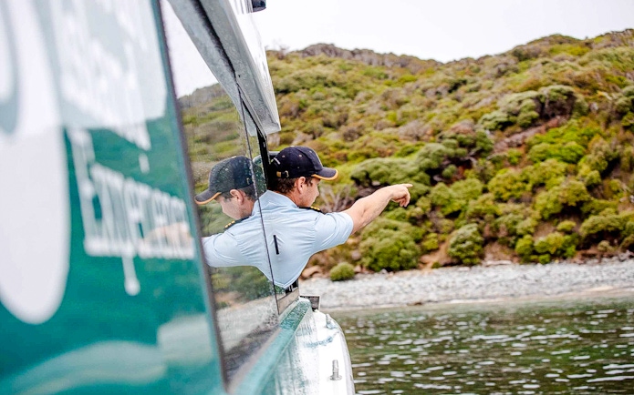 Guide pointing to green coastline from a boat on Stewart Island.