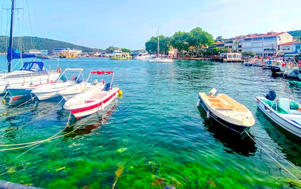 Boats docked at the harbour in Princes Islands, Istanbul, with waterfront buildings in the background.