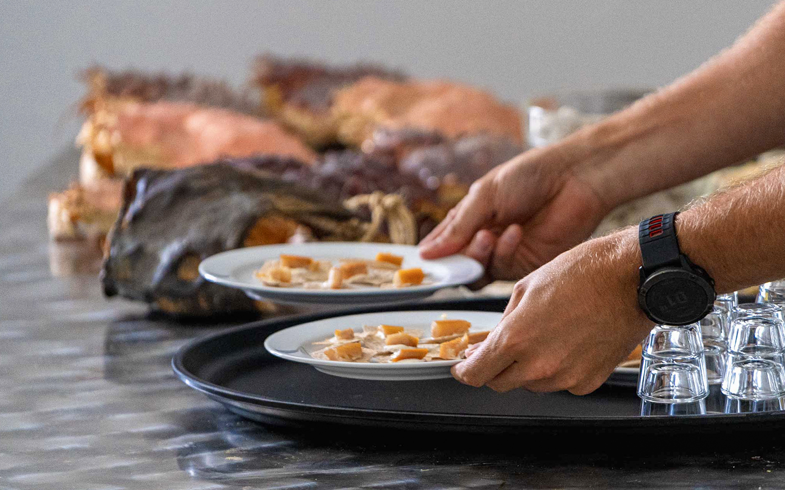 Plates of local Arctic cuisine being served on the Tromso Fjord Cruise.