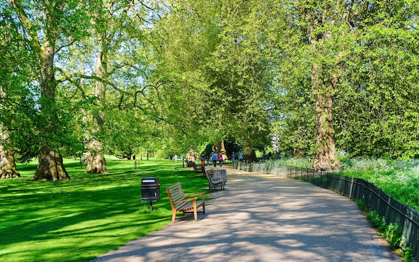 Pathway through a park with benches and trees, part of the Westminster guided tour.