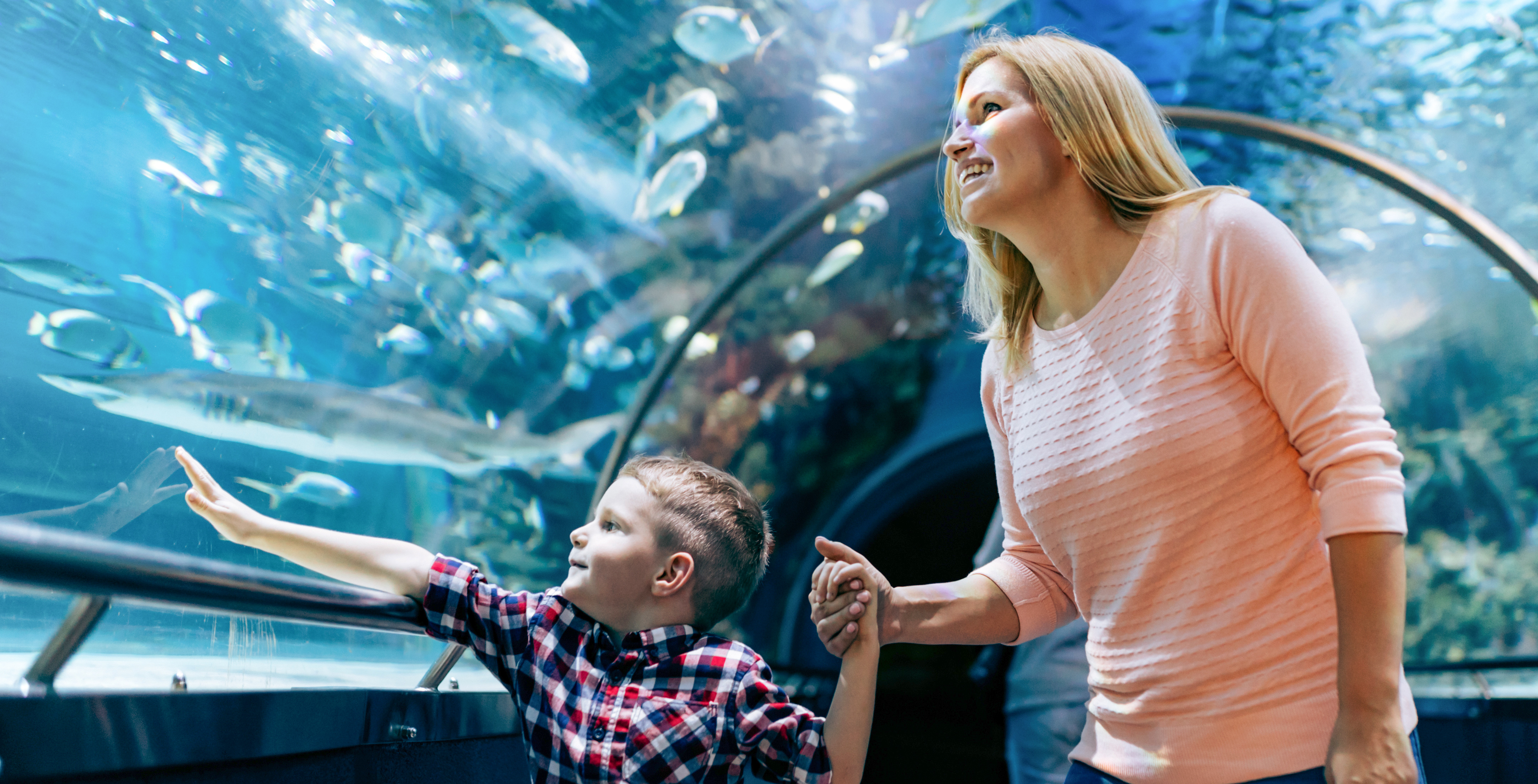 Mooloolaba İskelesi