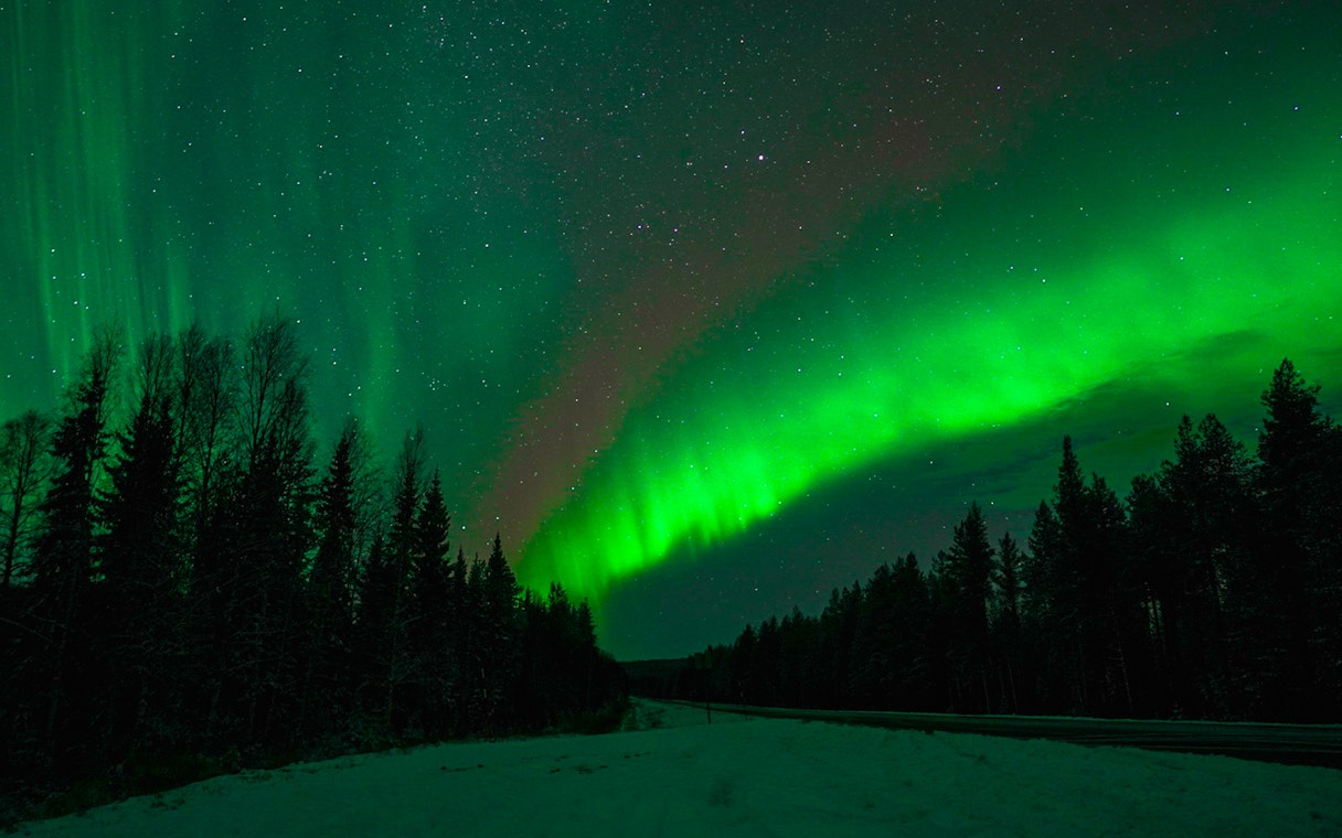 Northern Lights illuminating the night sky over a snowy forest in Rovaniemi.