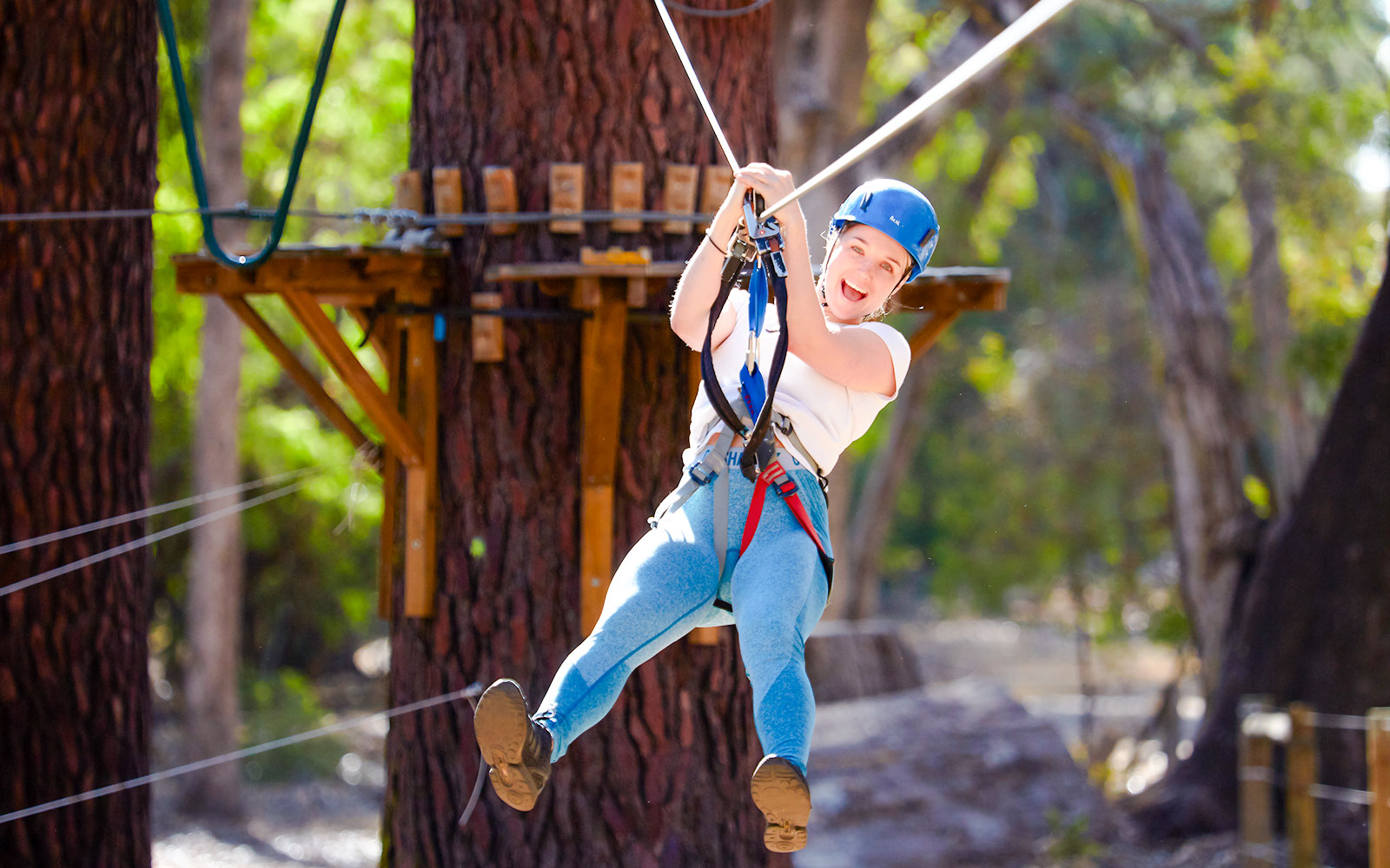 Ziplining through Ludlow Tuart Forest, Western Australia.