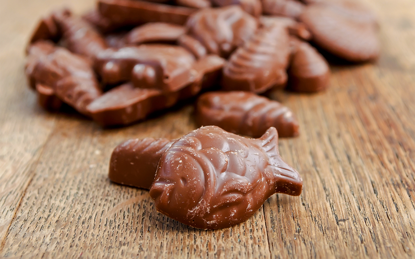 Assortment of chocolate shells and fruits for Easter from EMR.