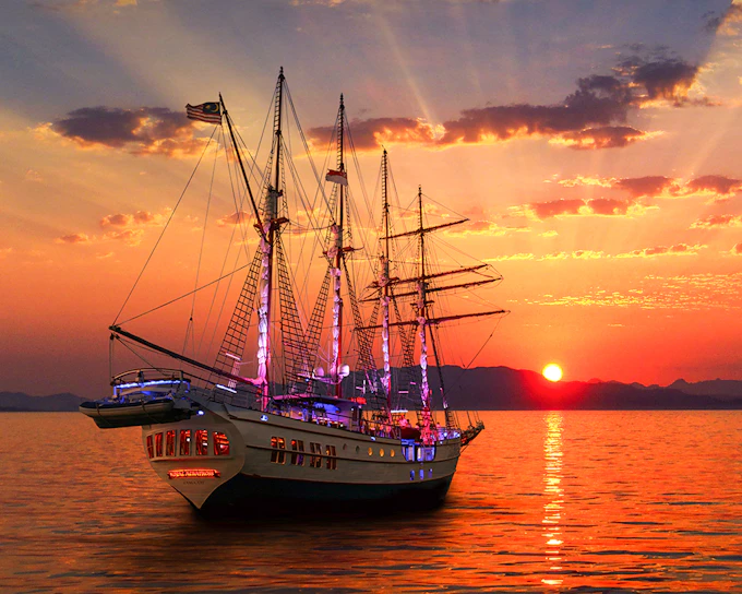 Royal Albatross Sunset Dinner Cruise