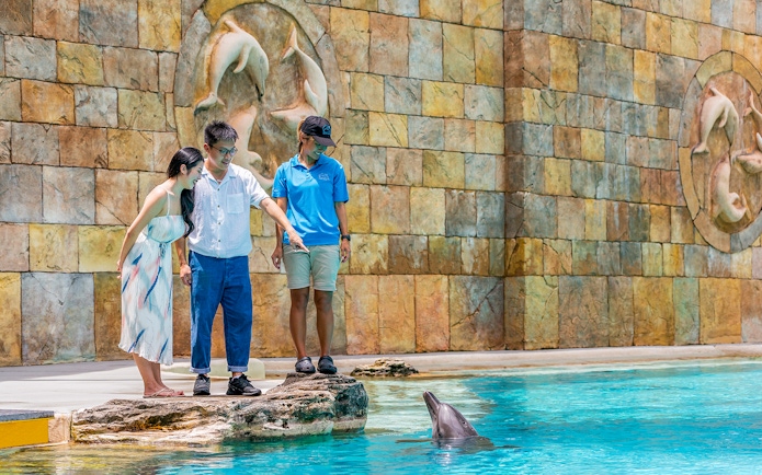 Visitors interacting with a dolphin at S.E.A. Aquarium's Dolphin Discovery.