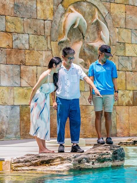 Visitors interacting with a dolphin at S.E.A. Aquarium's Dolphin Discovery.