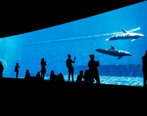 Genoa Aquarium - The Blue Planet