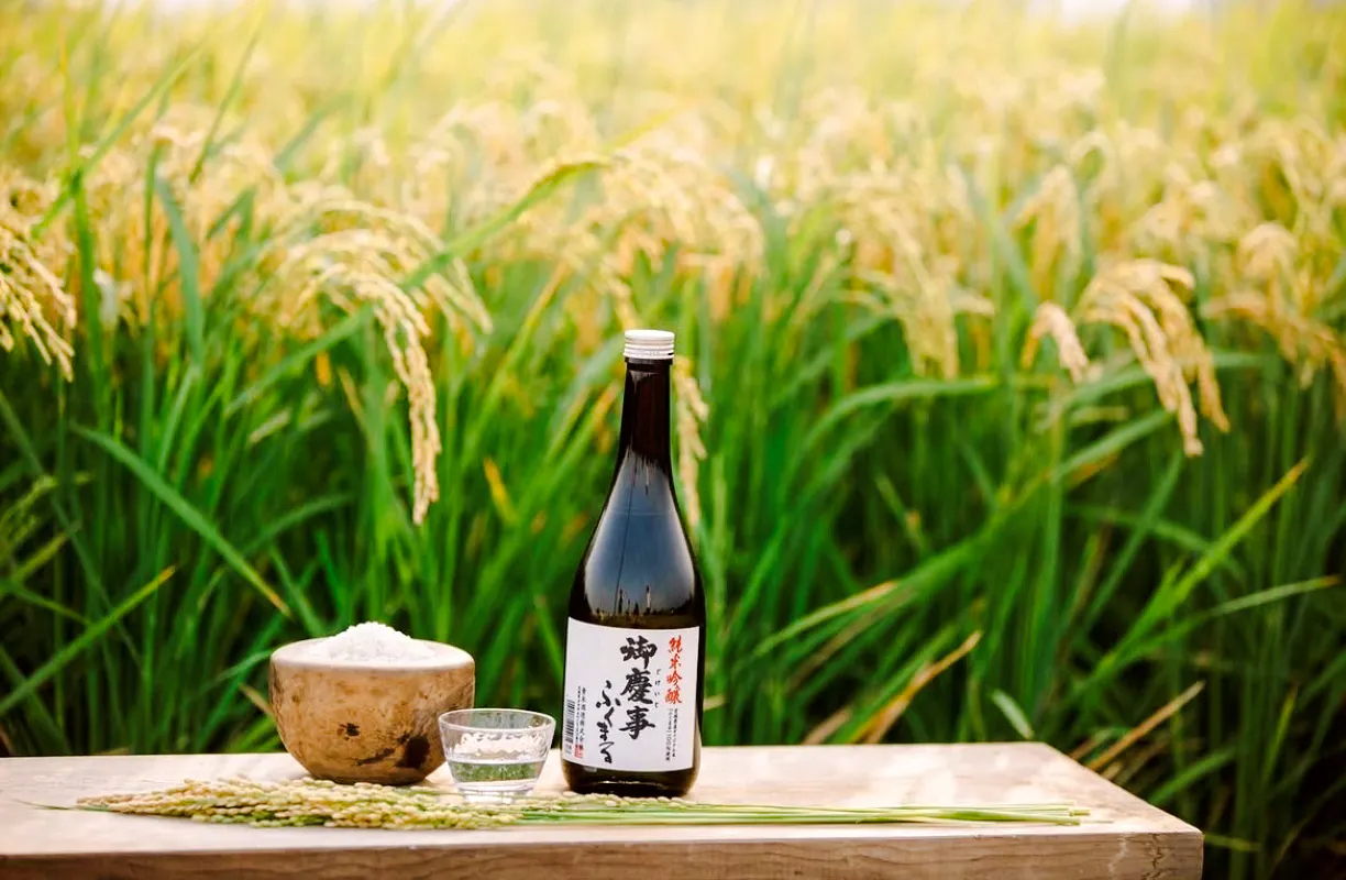Koga: Aoki Shuzo Sake Brewery Tour with Tasting
