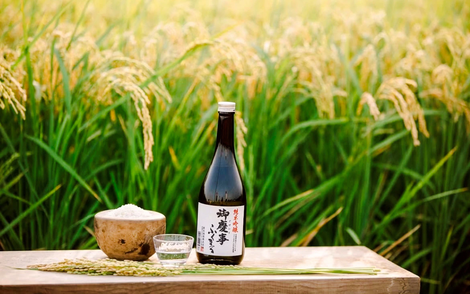 Koga: Aoki Shuzo Sake Brewery Tour with Tasting